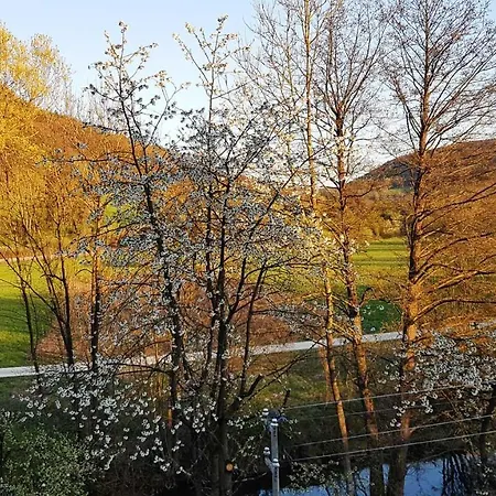 Pegnitzmuehle Mit Pegnitzinsel Apartament *