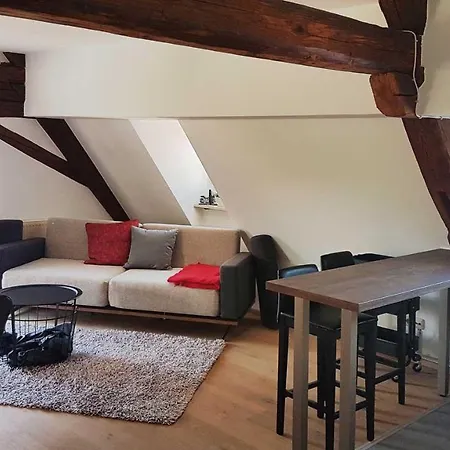 Apartment Pegnitzmuehle Mit Pegnitzinsel *