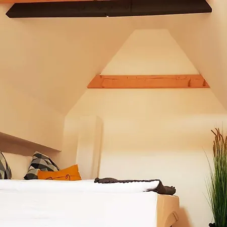 Apartment Pegnitzmuehle Mit Pegnitzinsel